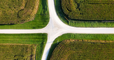 How to Hire a Shopify Agency Without Getting Burned